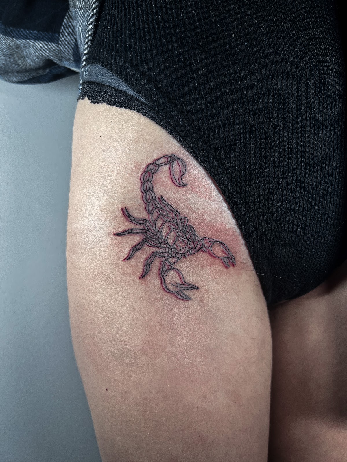 Skorpion w czerwonym konturze